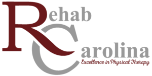 Client logo 1 : 